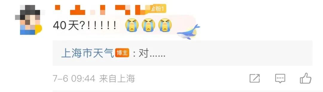 上海今天直逼39℃！入伏有消息了？这些室内场所“火辣辣”，市民直呼吃不消