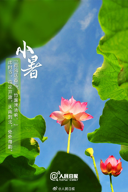 小暑过,一日热三分 小暑过,一日热三分