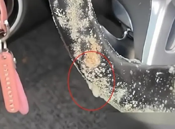 停地库半个月,保时捷车内发霉了!还有车方向盘长出小蘑菇? 停地库半个月,保时捷车内发霉了!还有车方向盘长出小蘑菇?