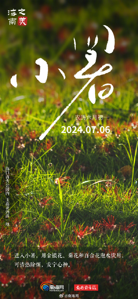 今日小暑 |海南的夏天不只有海，还有这些小美好等你发现