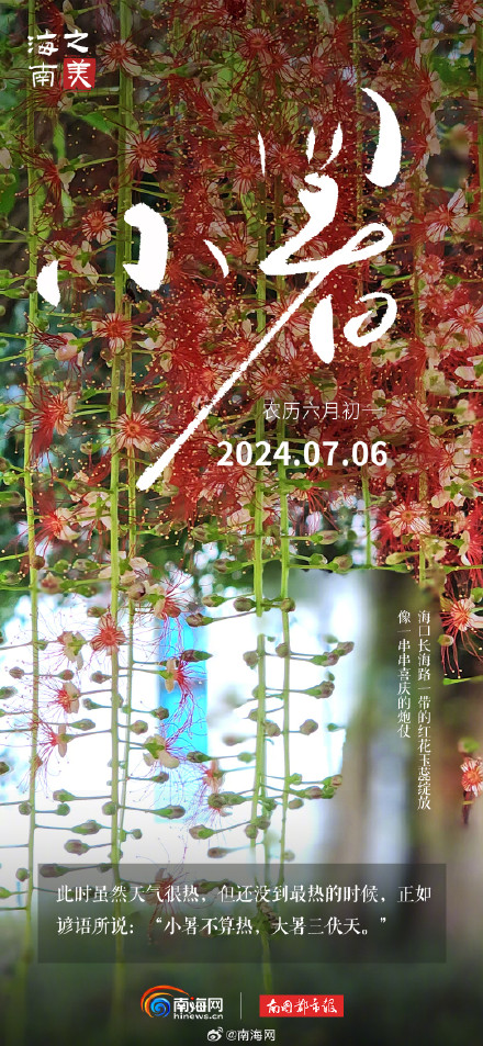 今日小暑 |海南的夏天不只有海，还有这些小美好等你发现