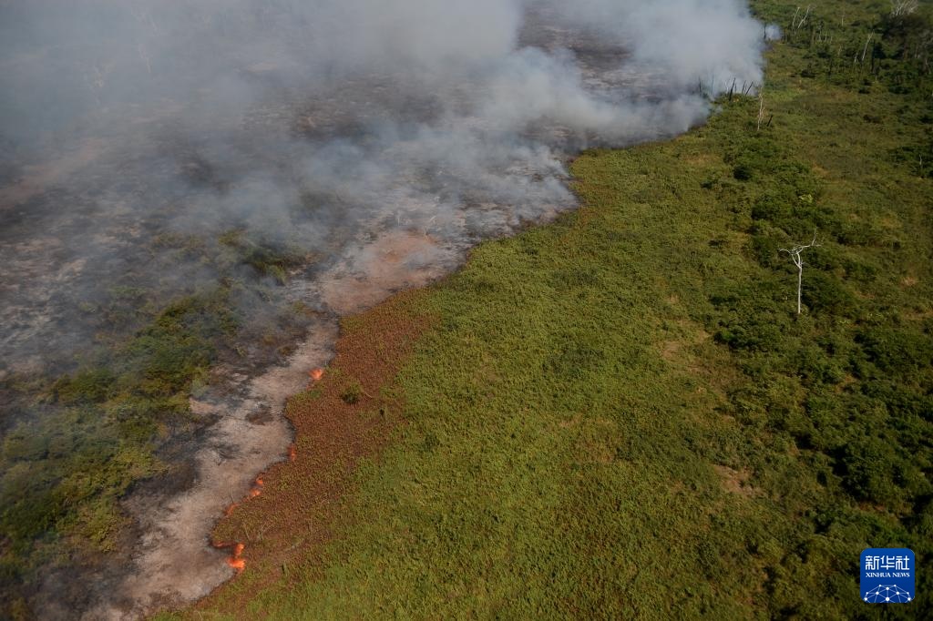 世界最大湿地今年遭遇严重火灾破坏 世界最大湿地今年遭遇严重火灾破坏