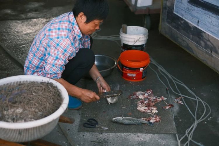 一大早卖完!杭州人馋的那一口鲜回归!老板:电话都被打爆了…… 一大早卖完!杭州人馋的那一口鲜回归!老板:电话都被打爆了……