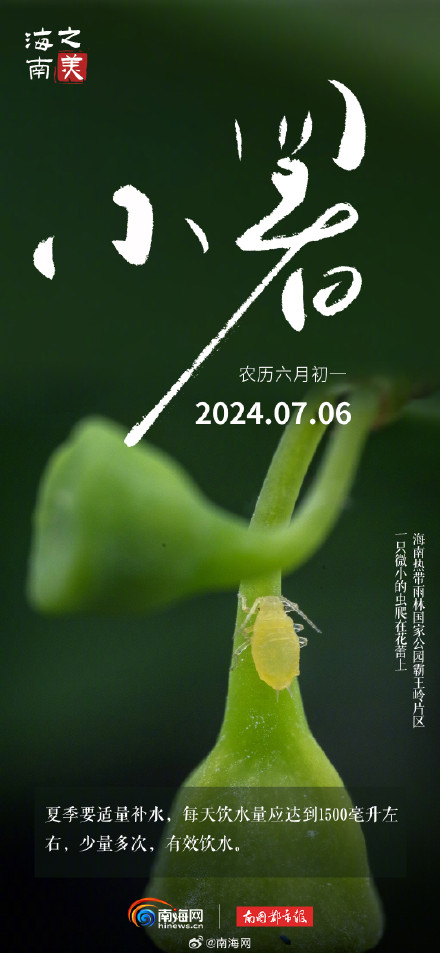 今日小暑 |海南的夏天不只有海，还有这些小美好等你发现
