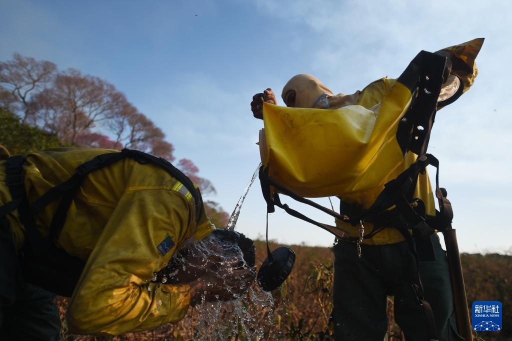 世界最大湿地今年遭遇严重火灾破坏 世界最大湿地今年遭遇严重火灾破坏
