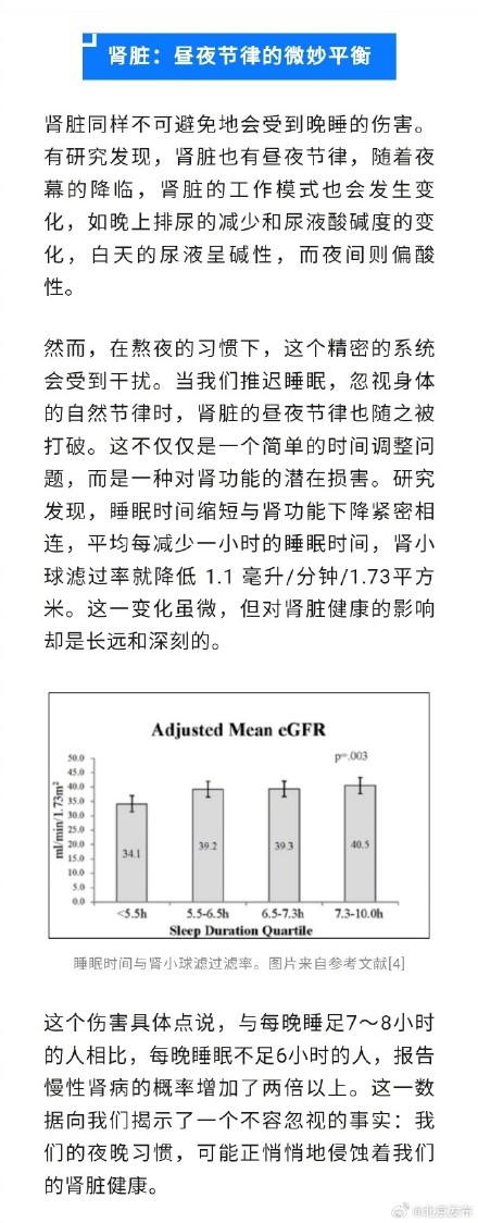 熬夜时身体核心器官在经历什么