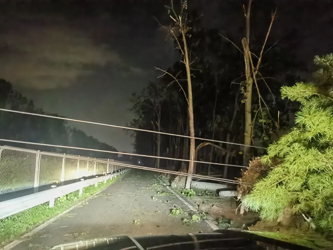 北京一地强风致78棵大树倒伏,交通阻断! 北京一地强风致78棵大树倒伏,交通阻断!