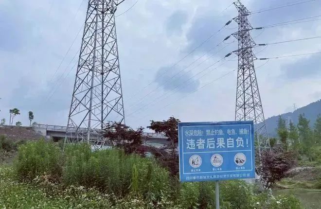 近期高发！网红夫妇意外身亡，粉丝痛心哀悼......