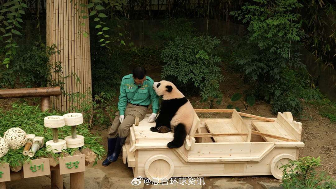 “睿宝”“辉宝”,生日快乐! “睿宝”“辉宝”,生日快乐!