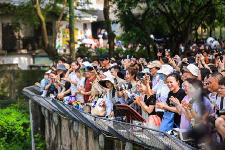大熊猫莽灿灿迎来周岁生日