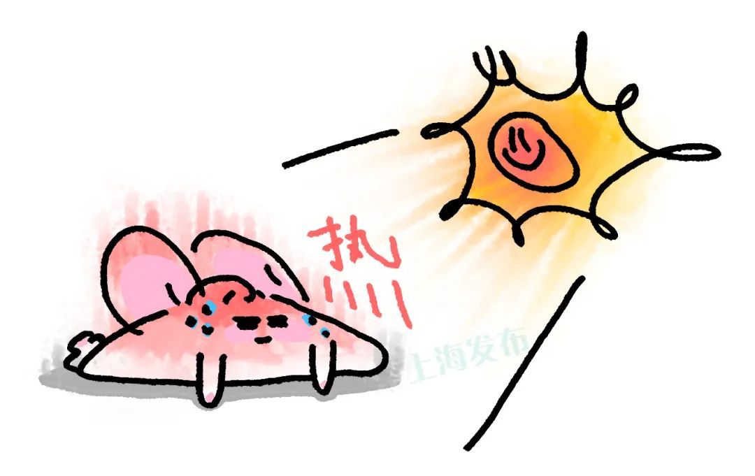 医聊 | 夏季皮肤“痒痒痒”,可能不止是一个“包包”那么简单…… 医聊 | 夏季皮肤“痒痒痒”,可能不止是一个“包包”那么简单……
