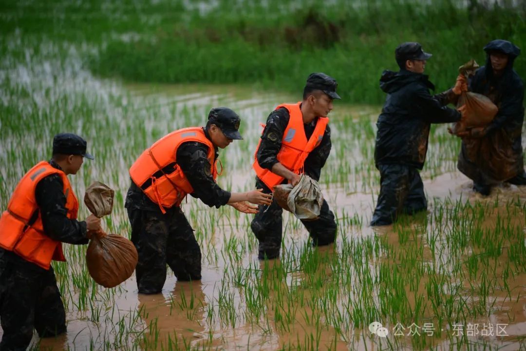 泪目！洪水中的军民鱼水情