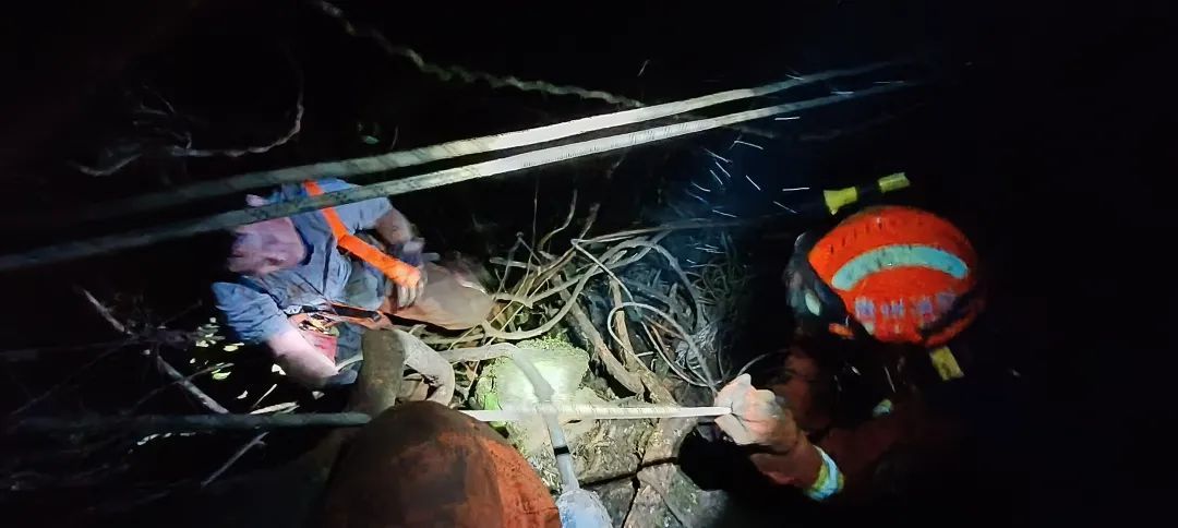 南昌父子3人野游失联