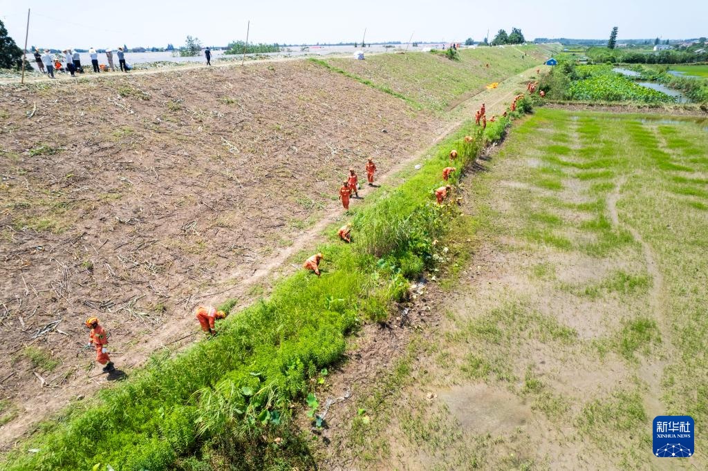 湖南华容团洲垸：巡堤查险 加固“第二道防线”