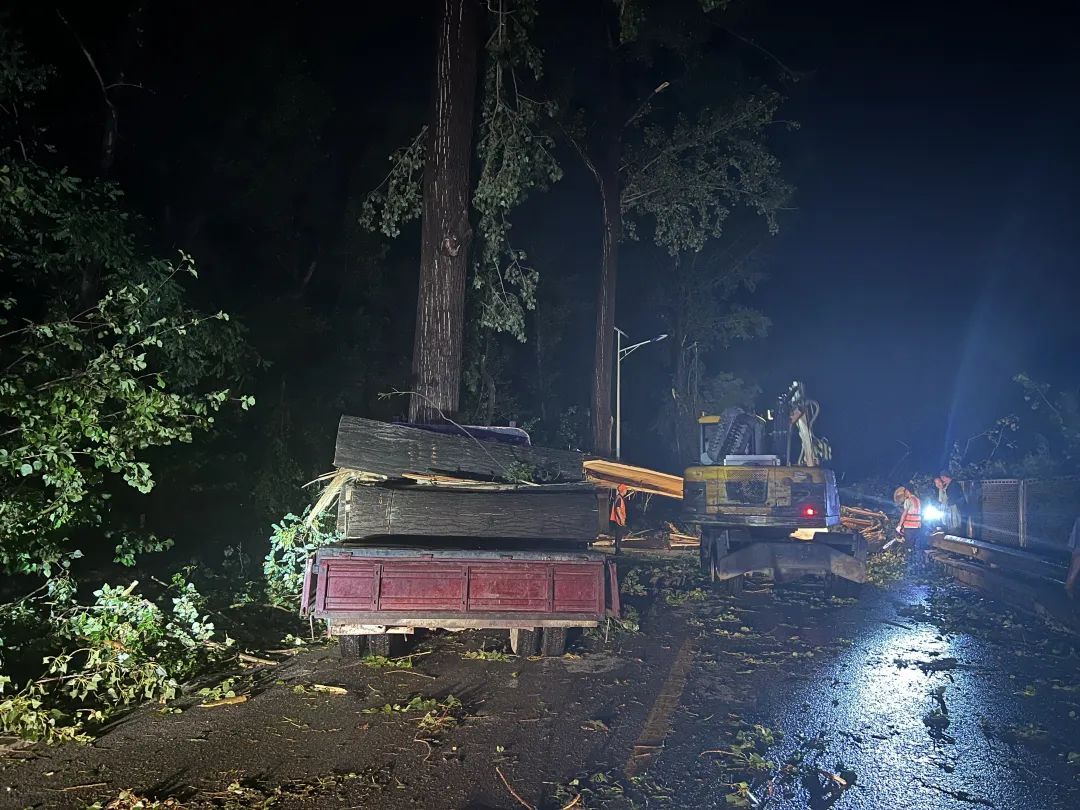 北京一地强风致78棵大树倒伏,交通阻断! 北京一地强风致78棵大树倒伏,交通阻断!