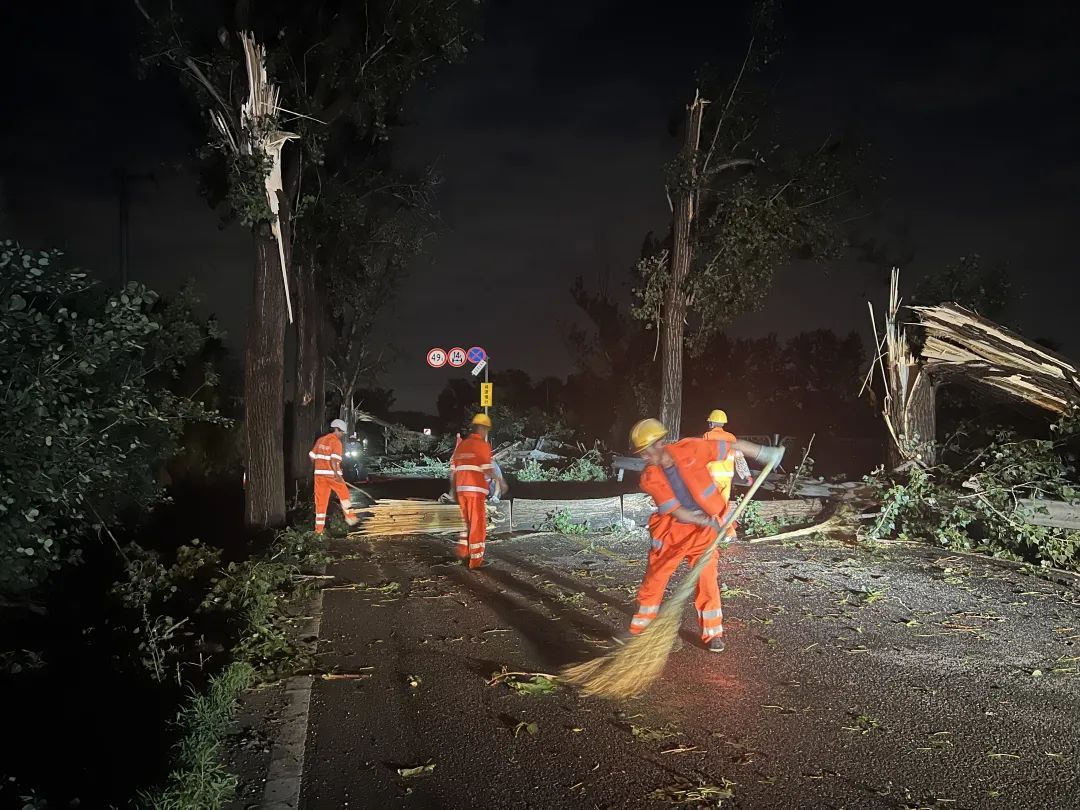 北京一地强风致78棵大树倒伏,交通阻断! 北京一地强风致78棵大树倒伏,交通阻断!