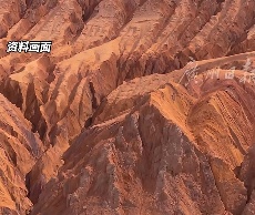 81℃火焰山能祛湿气？上海人疯狂心动！靠谱吗？