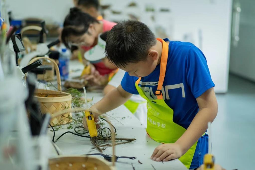 平均气温20多℃,还能自己捡菌子,确定不来云南? 平均气温20多℃,还能自己捡菌子,确定不来云南?