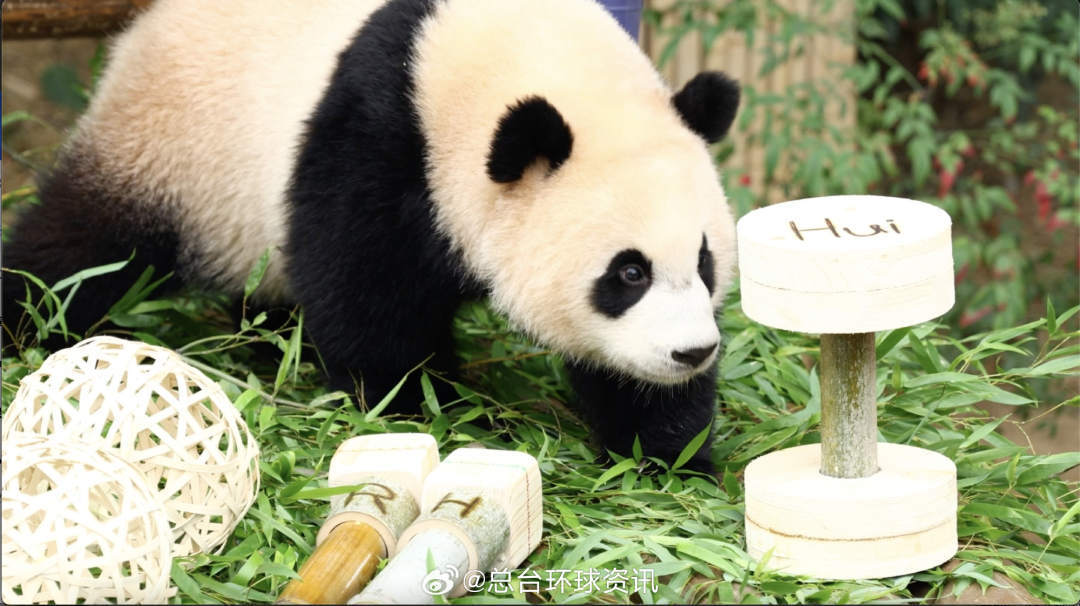 “睿宝”“辉宝”,生日快乐! “睿宝”“辉宝”,生日快乐!