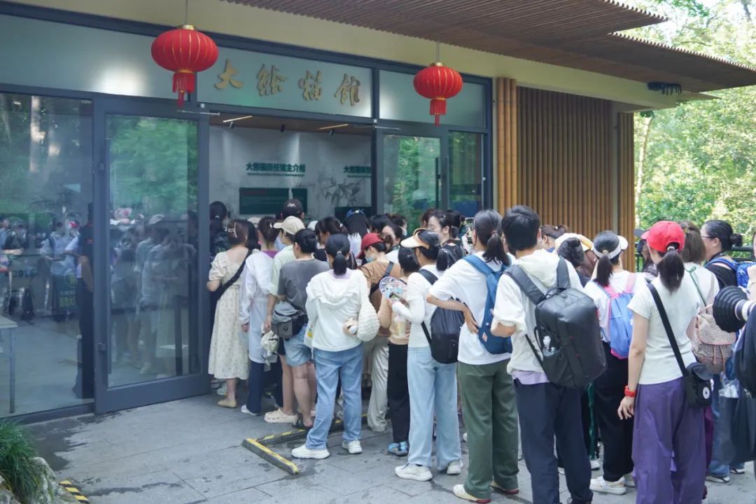 杭城“小公主”过生日，阵仗那么大！？满屏的爱太治愈