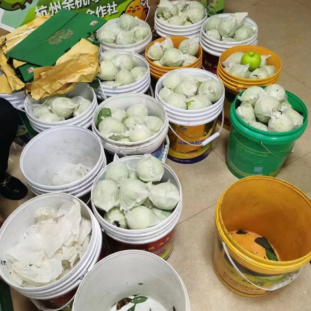 盼了一年，已经有人尝鲜！浙江人爱吃的这一口， 这两个月抓紧吃…