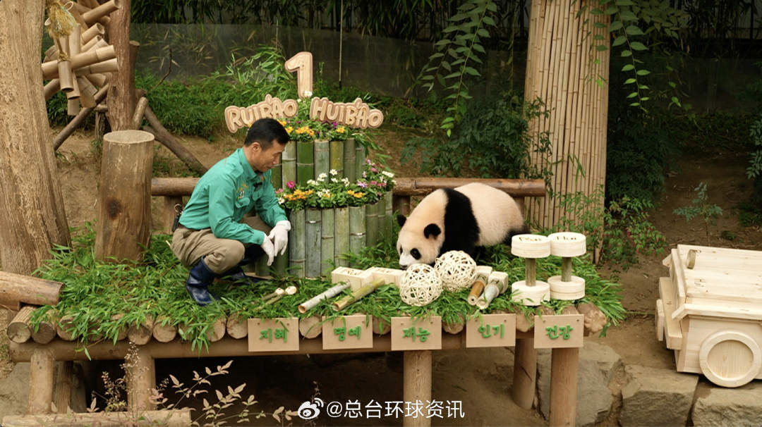 “睿宝”“辉宝”,生日快乐! “睿宝”“辉宝”,生日快乐!