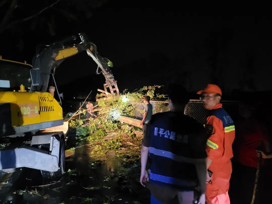 北京一地强风致78棵大树倒伏,交通阻断! 北京一地强风致78棵大树倒伏,交通阻断!