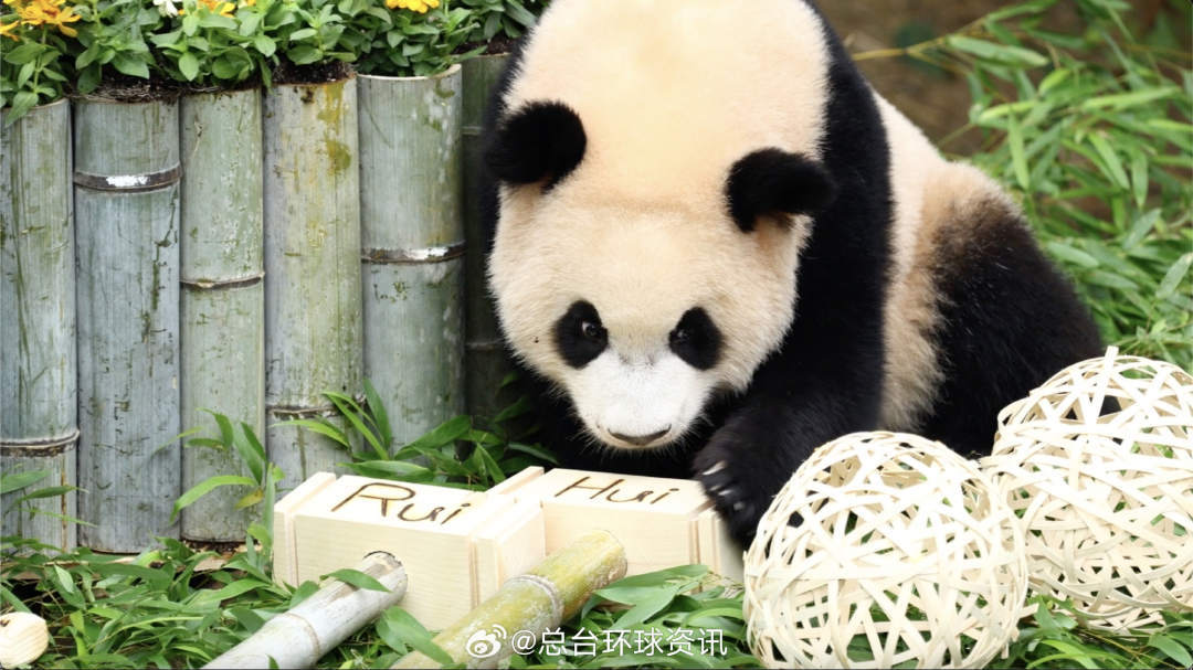 “睿宝”“辉宝”,生日快乐! “睿宝”“辉宝”,生日快乐!