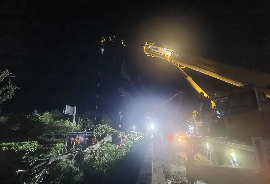 北京一地强风致78棵大树倒伏,交通阻断! 北京一地强风致78棵大树倒伏,交通阻断!
