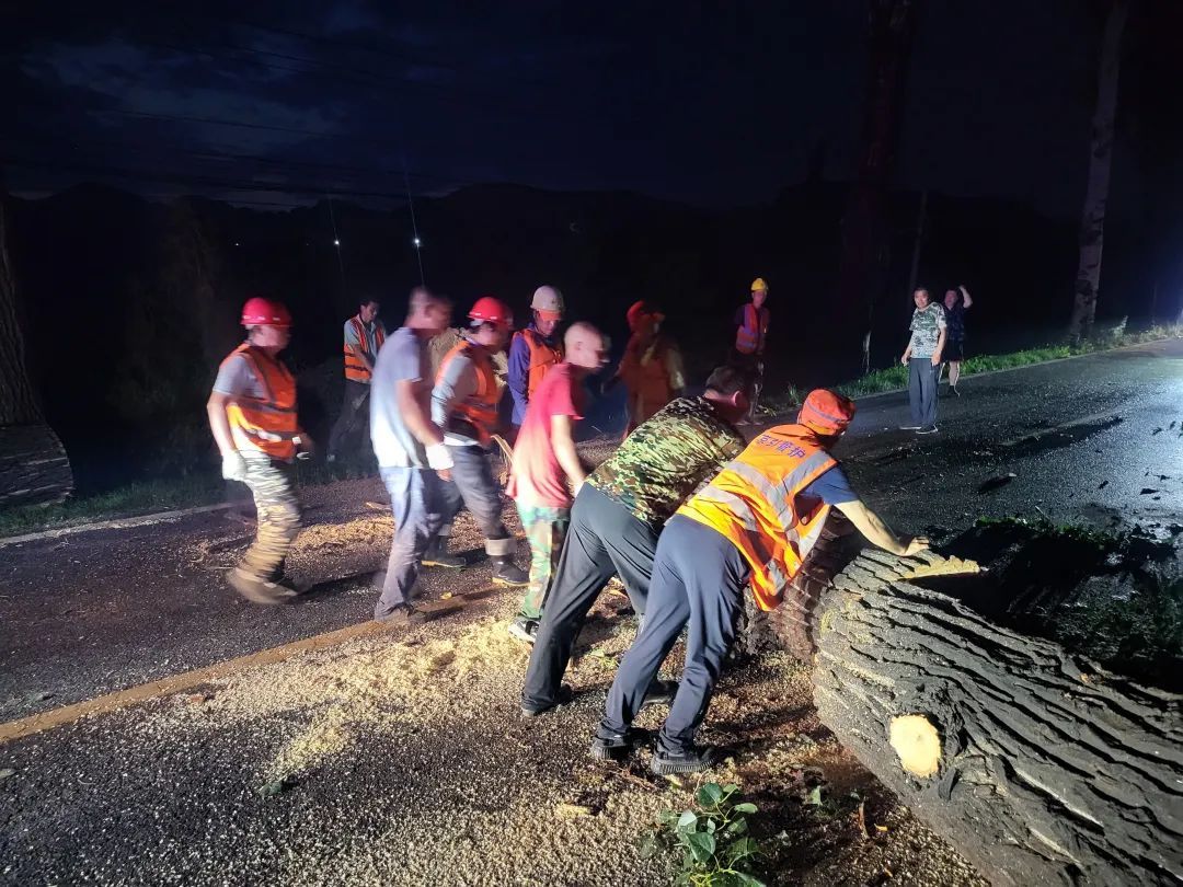 北京一地强风致78棵大树倒伏,交通阻断! 北京一地强风致78棵大树倒伏,交通阻断!
