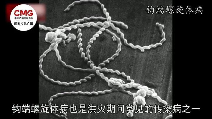 洪水泡过的食物还能吃吗？专家提醒洪水过后这4类传染病要预防