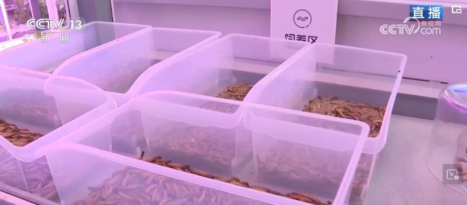 氛围感“拉满”、花样“上新”……夏日文旅“燃”动 释放消费新潜力