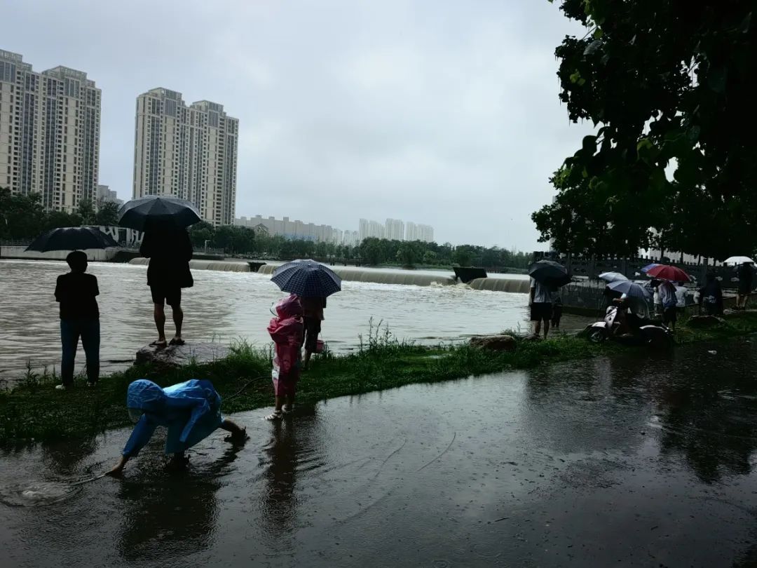 仍有市民带孩子玩水！记者实探郑州贾鲁河沿河水位