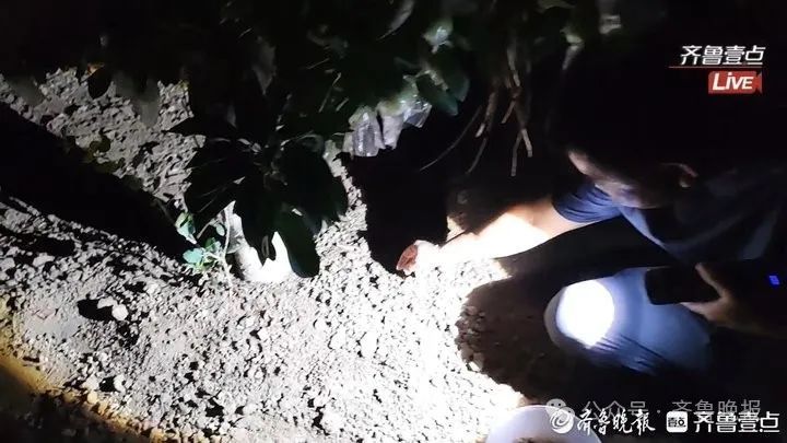 一晚上收入近2000元！济南这里又火了：预订排到一周后