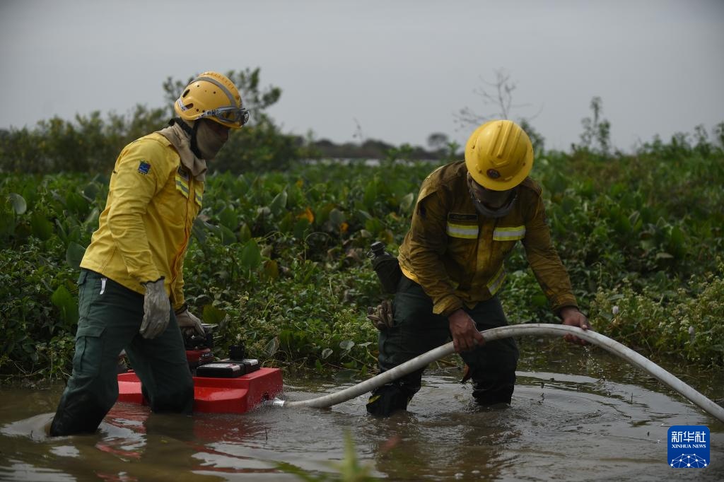 巴西潘塔纳尔：灭火