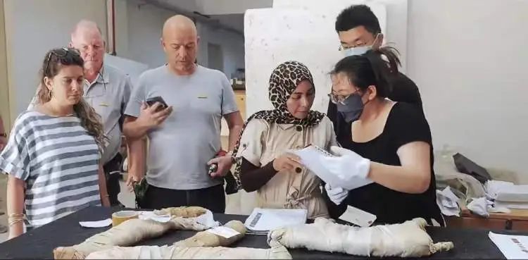 搬空埃及博物馆?避难托孤?边角料展?上博馆长澄清 搬空埃及博物馆?避难托孤?边角料展?上博馆长澄清