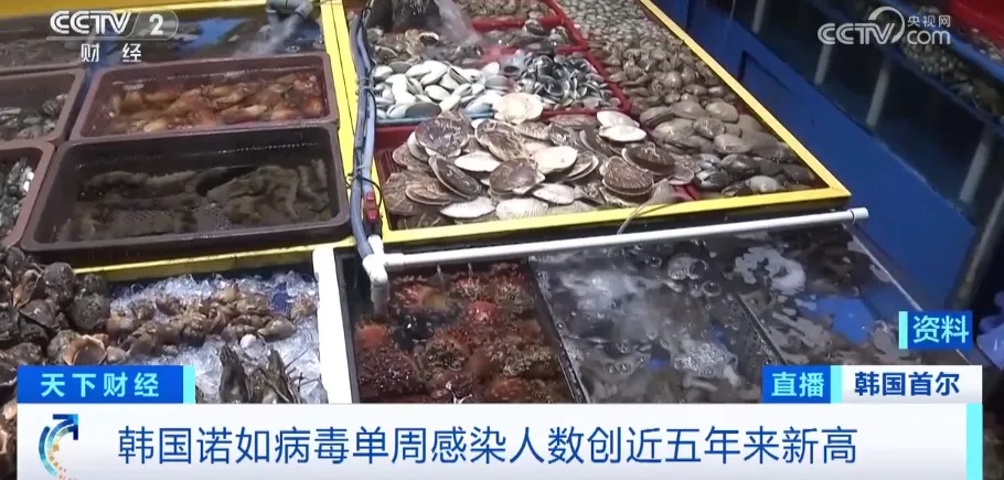 韩国“泡菜中毒”事件！超千人呕吐发烧，传染性极强！当地官员表示→