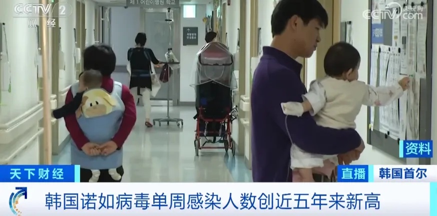 韩国“泡菜中毒”事件！超千人呕吐发烧，传染性极强！当地官员表示→