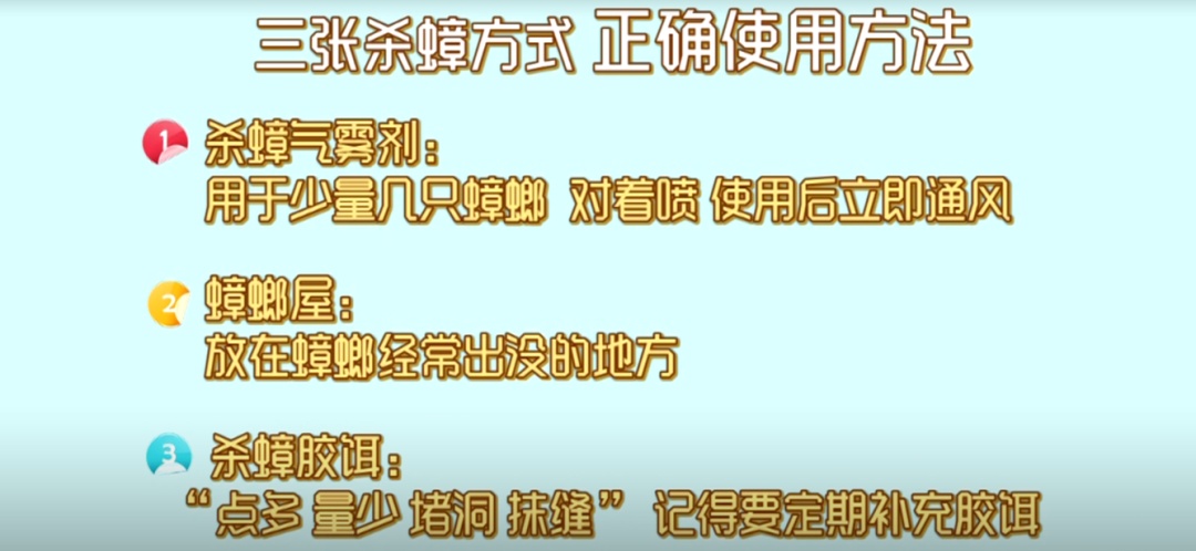实用！夏季蟑螂大作战 3招轻松赶走烦人蟑螂