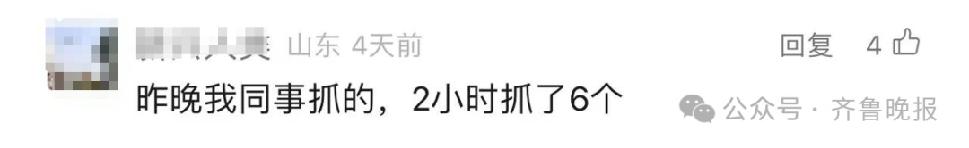 一晚上收入近2000元！济南这里又火了：预订排到一周后