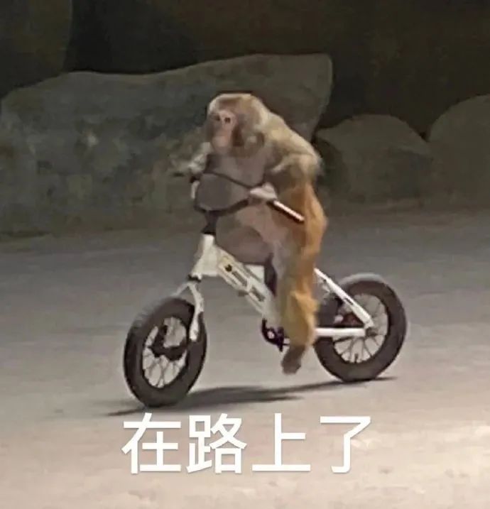 儿童“探头杀”易引发事故，家长要警惕→