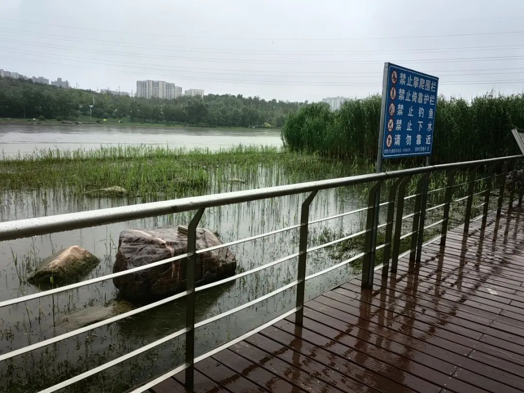 仍有市民带孩子玩水！记者实探郑州贾鲁河沿河水位