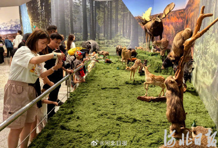 河北博物院展览上新!来这里看看“珍奇生灵” 河北博物院展览上新!来这里看看“珍奇生灵”