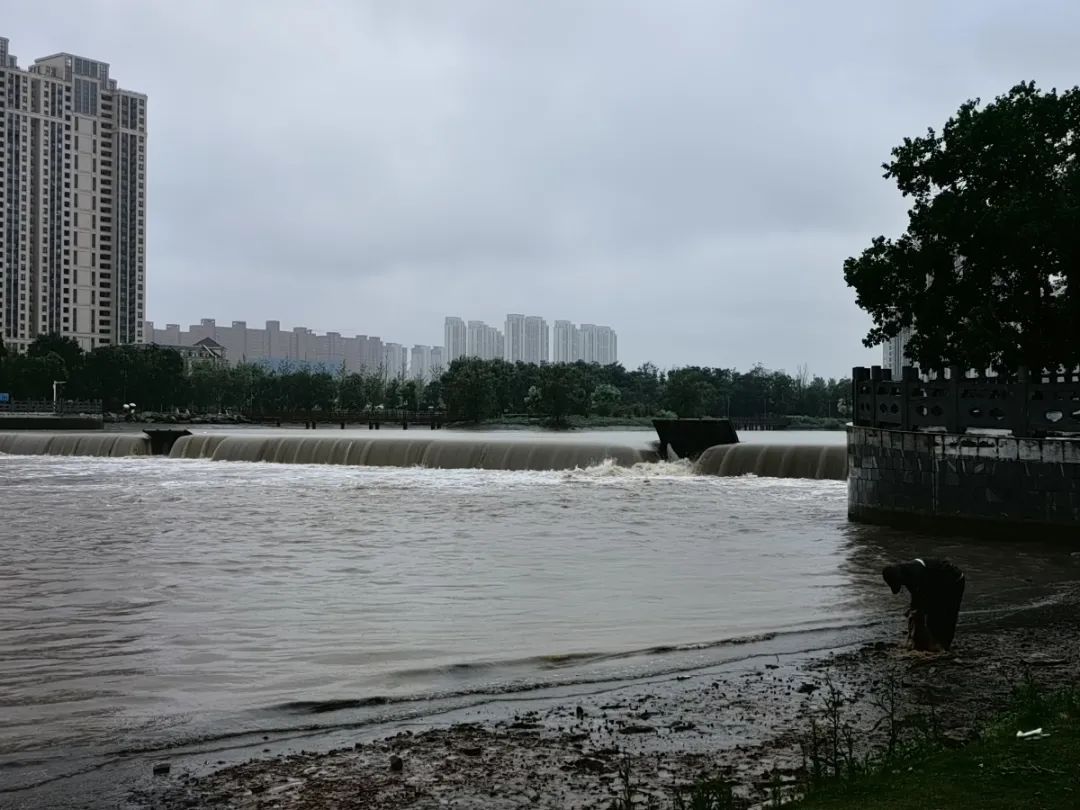 仍有市民带孩子玩水！记者实探郑州贾鲁河沿河水位