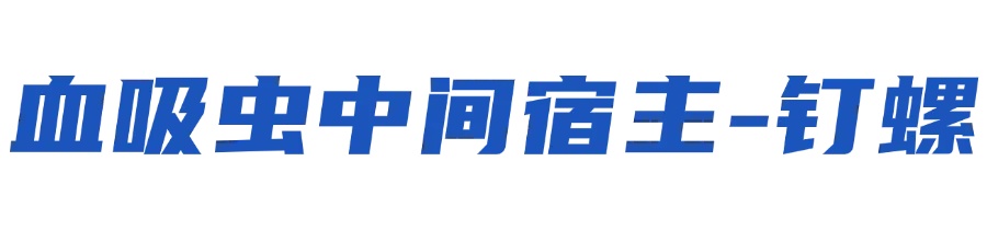 接触10秒即可感染！汛期，当心这种病