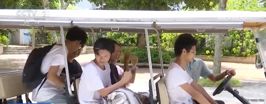 主打“新”与“惠” 文旅市场“好戏连台”撬动消费新“杠杆”