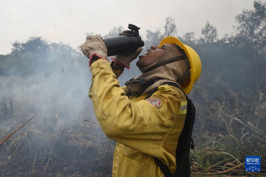 巴西潘塔纳尔:灭火