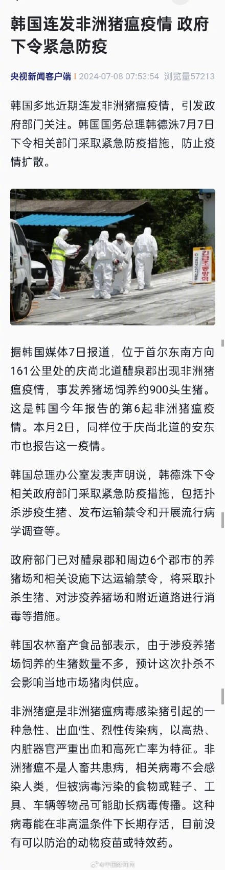 韩国多地连发非洲猪瘟疫情