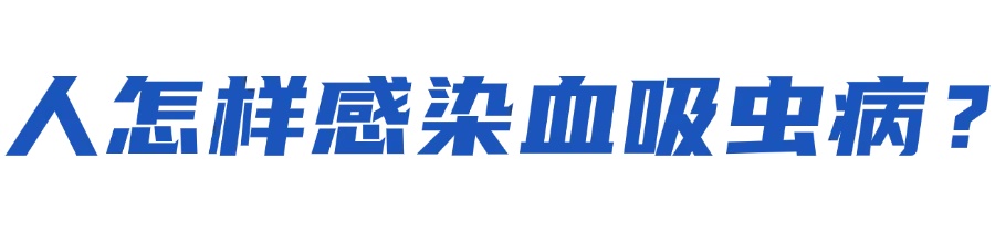接触10秒即可感染！汛期，当心这种病