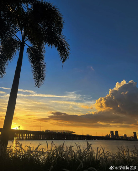深圳天际线被绚烂晚霞温柔拥抱